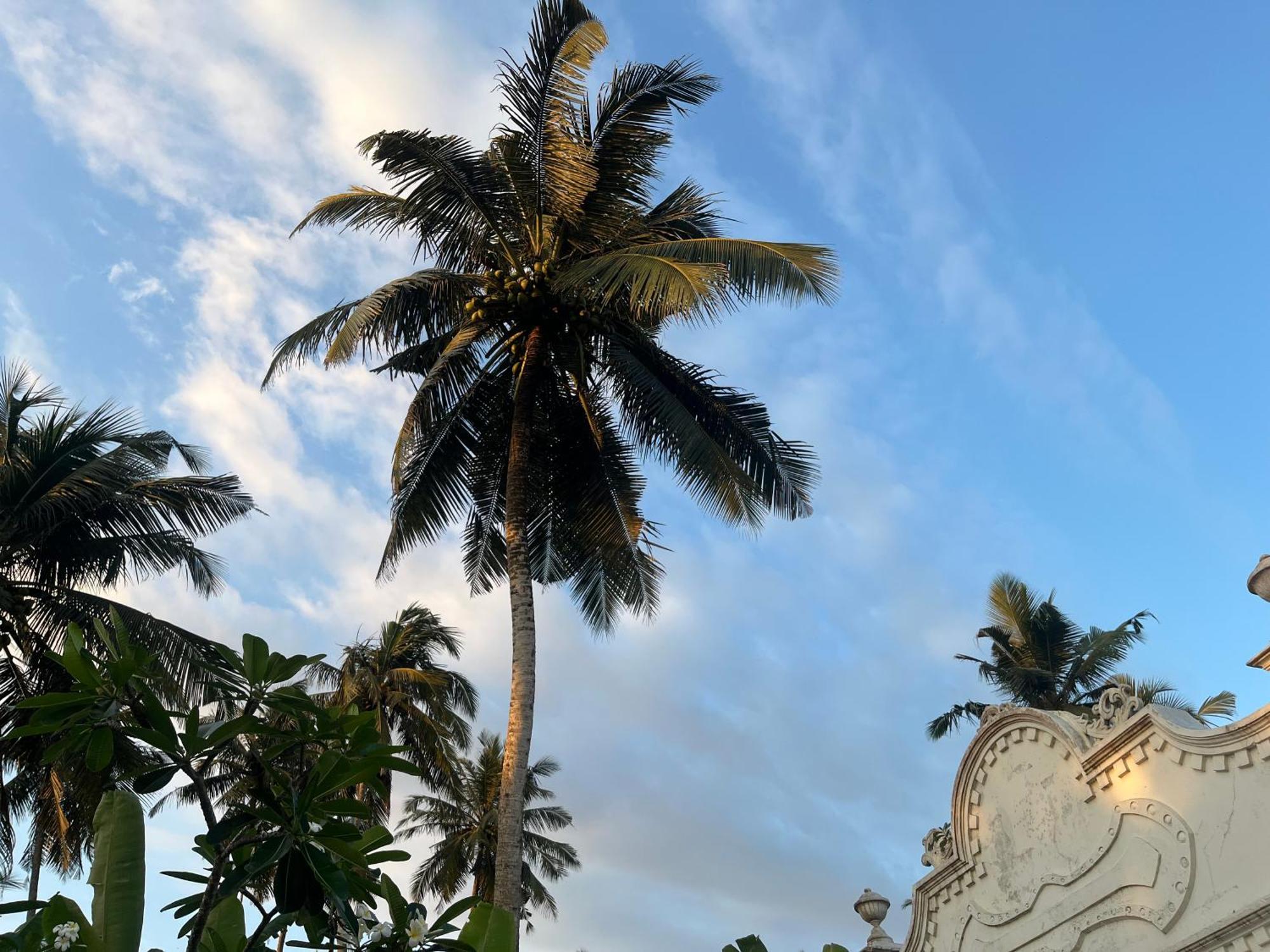 Samudrawasa Luxury Colonial Villa & Beach House Ambalangoda  Zewnętrze zdjęcie
